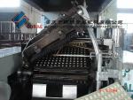 33 Plates Tunnel Wafer Oven